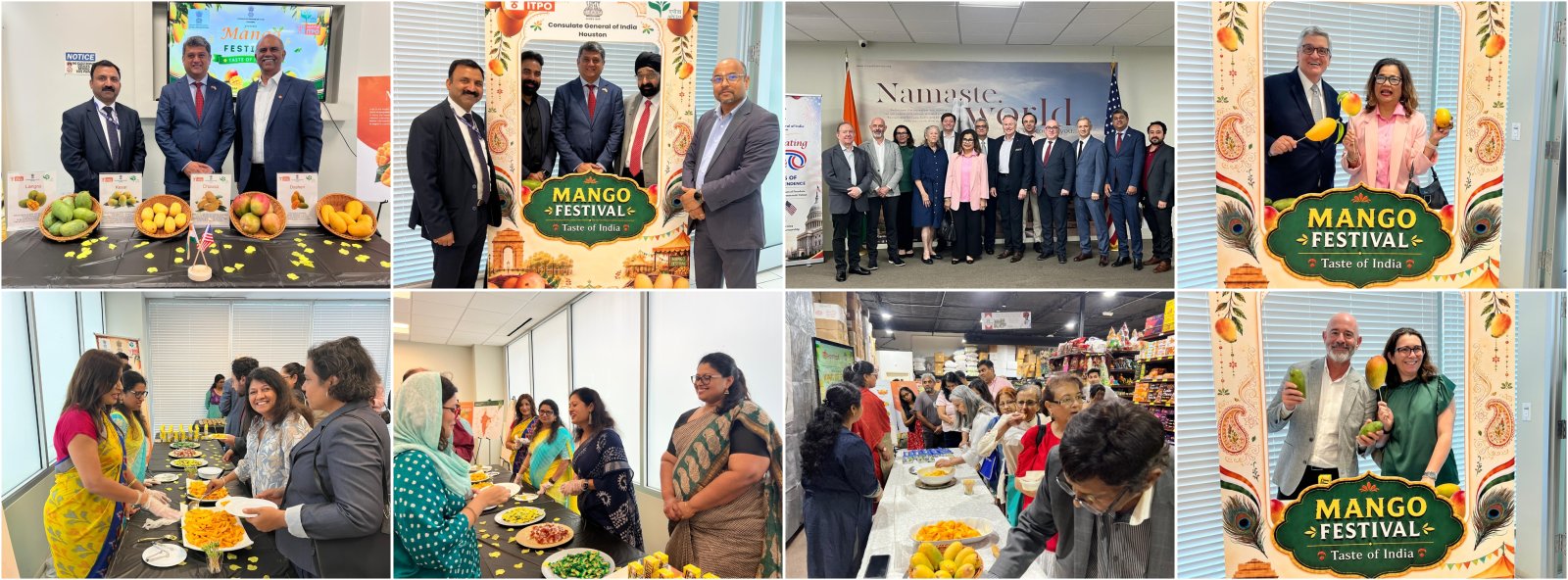 Mango Festival in Houston