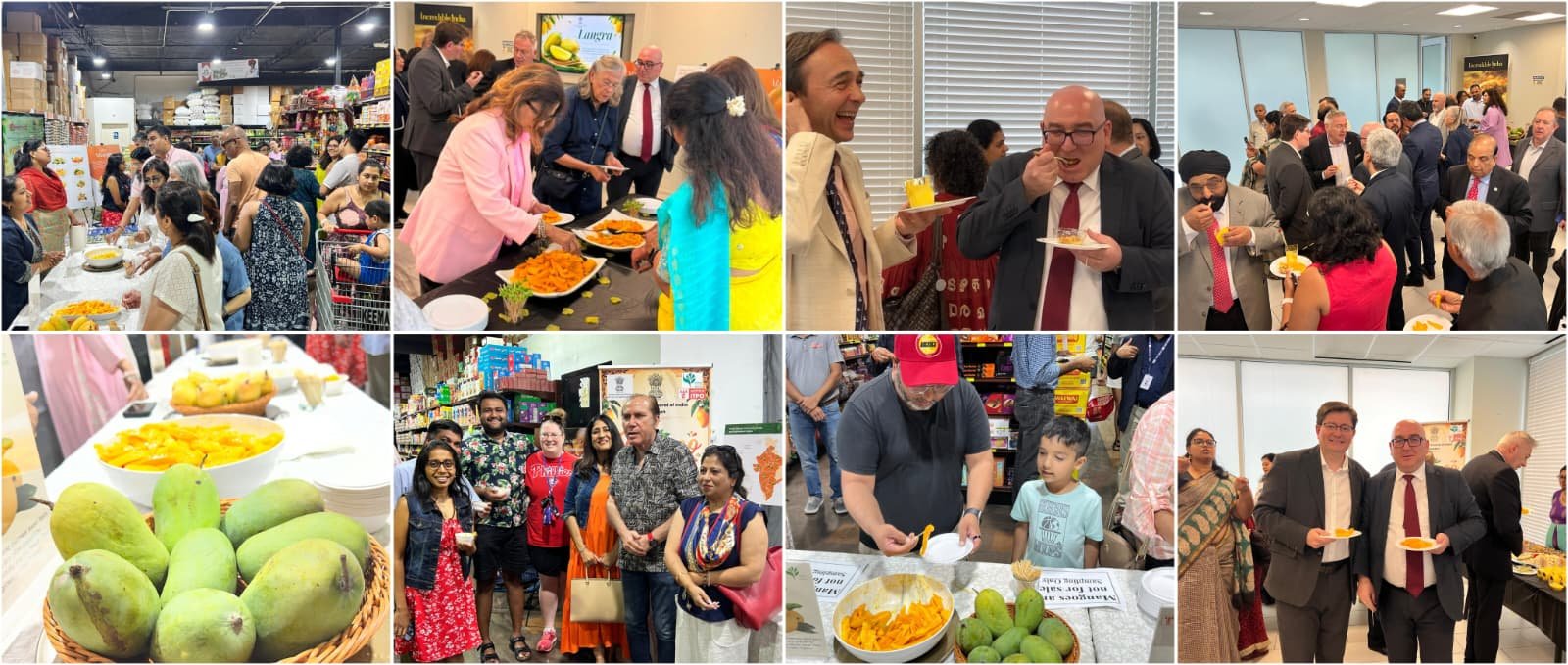 Mango Festival in Houston!!!